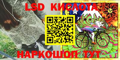 PSILOCYBIN Кунгур
