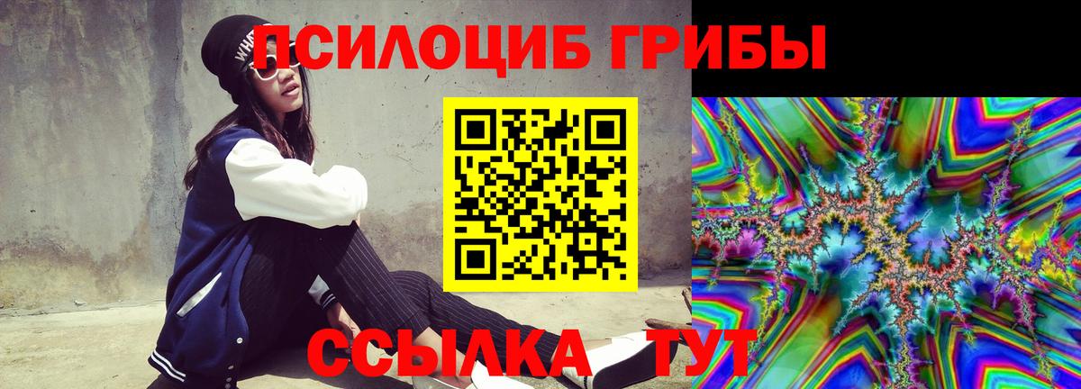 Псилоцибиновые грибы ЛСД  Вход с VPN  Псилоцибиновые грибы Magic Shrooms  наркота  Коркино 